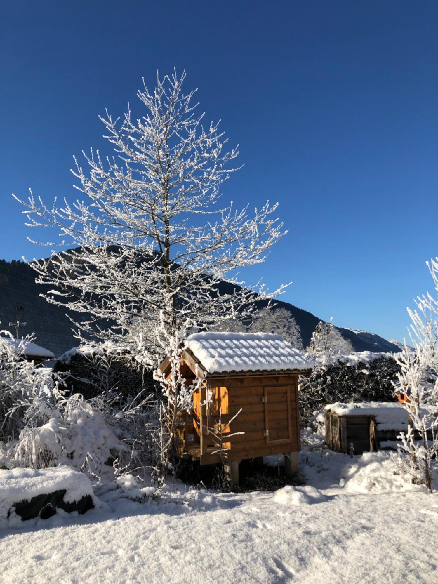 Ferienwohnung Jaga Rattendorf Esterno foto